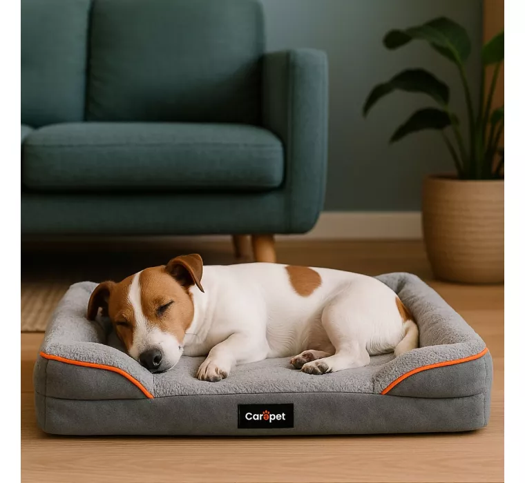 Cuccia Smart CAREPET
